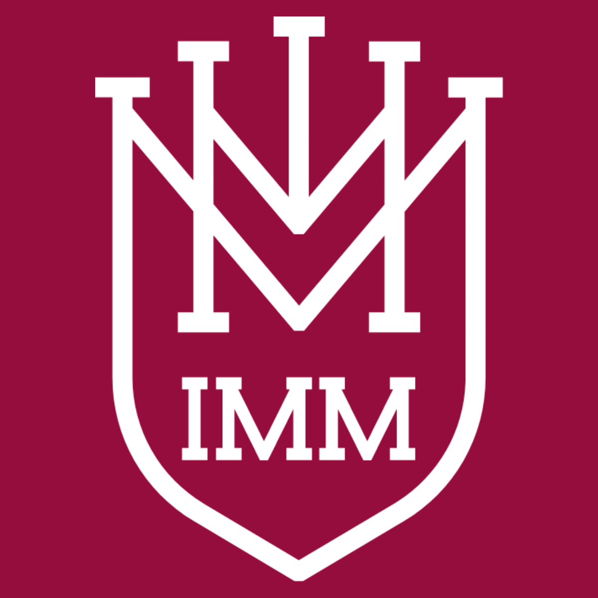Institute of Marketing & Management (IMM), Delhi Logo